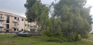 Termoli stato di emergenza