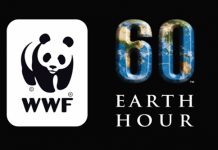 Earth Hour