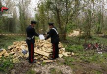 discarica a Isernia