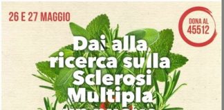 Termoli, sclerosi multipla: weekend a sostegno della ricerca