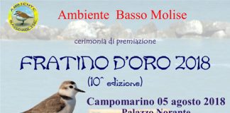 Premio Fratino d'oro 2018 Campomarino