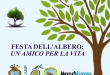 festa albero Guglionesi