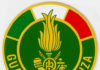 guardia di finanza logo