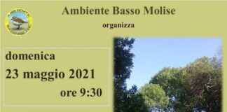 pineta pulita 23 maggio 2021