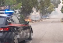 carabinieri incendi basso molise