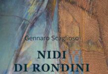 libro nidi di rondini