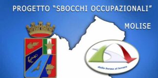 progetto sbocchi occupazionali