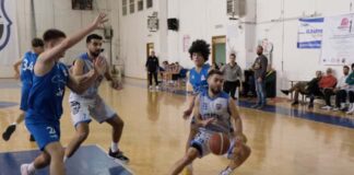 venafro antoniana basket