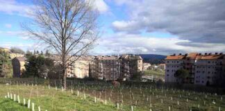 via sicilia campobasso