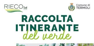 raccolta itinerante del verde 2023