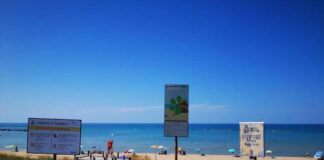 spiaggia cani termoli