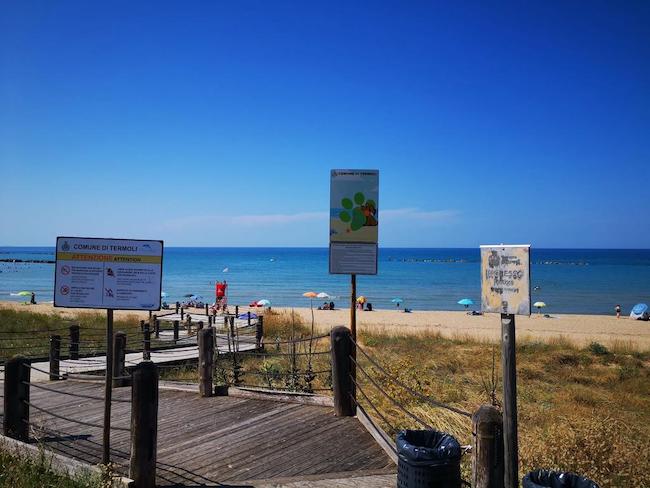 spiaggia cani termoli