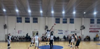 venafro magic basket