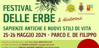 festival delle erbe