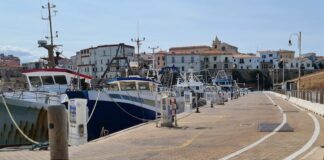 porto di termoli