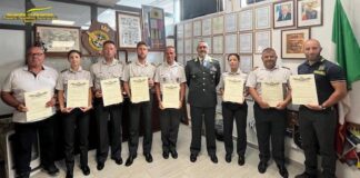 diplomi gdf termoli