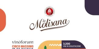 la molisana vinoforum 2024