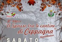 a spasso tra le cantine 2024