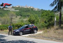 carabinieri campobasso