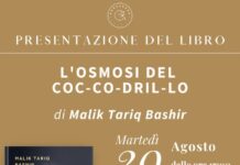 l'osmosi del coccodrillo 20 agosto 2024