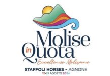 molise in quota