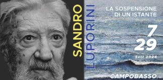 mostra luporini 2024