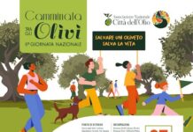 8° camminata tra gli olivi termoli