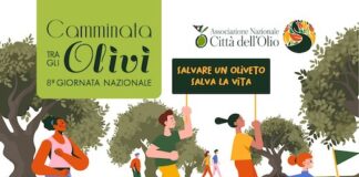 8° camminata tra gli olivi termoli