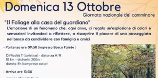 il foliage casa del guardiano 13 ottobre 2024