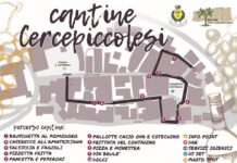 cantine cercepiccolesi 16 novembre 2024