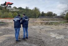 carabinieri tutela ambientale