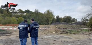 carabinieri tutela ambientale