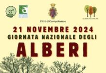 giornata degli alberi 2024 campobasso