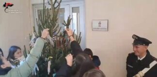 albero legalità