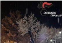 carabinieri campobasso neve