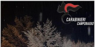 carabinieri campobasso neve