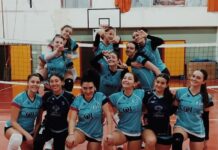 delfina volley