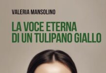 la voce eterna di un tulipano giallo