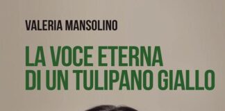 la voce eterna di un tulipano giallo