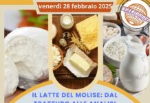 il latte del molise 28 febbraio 2025