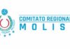 logo fipav molise